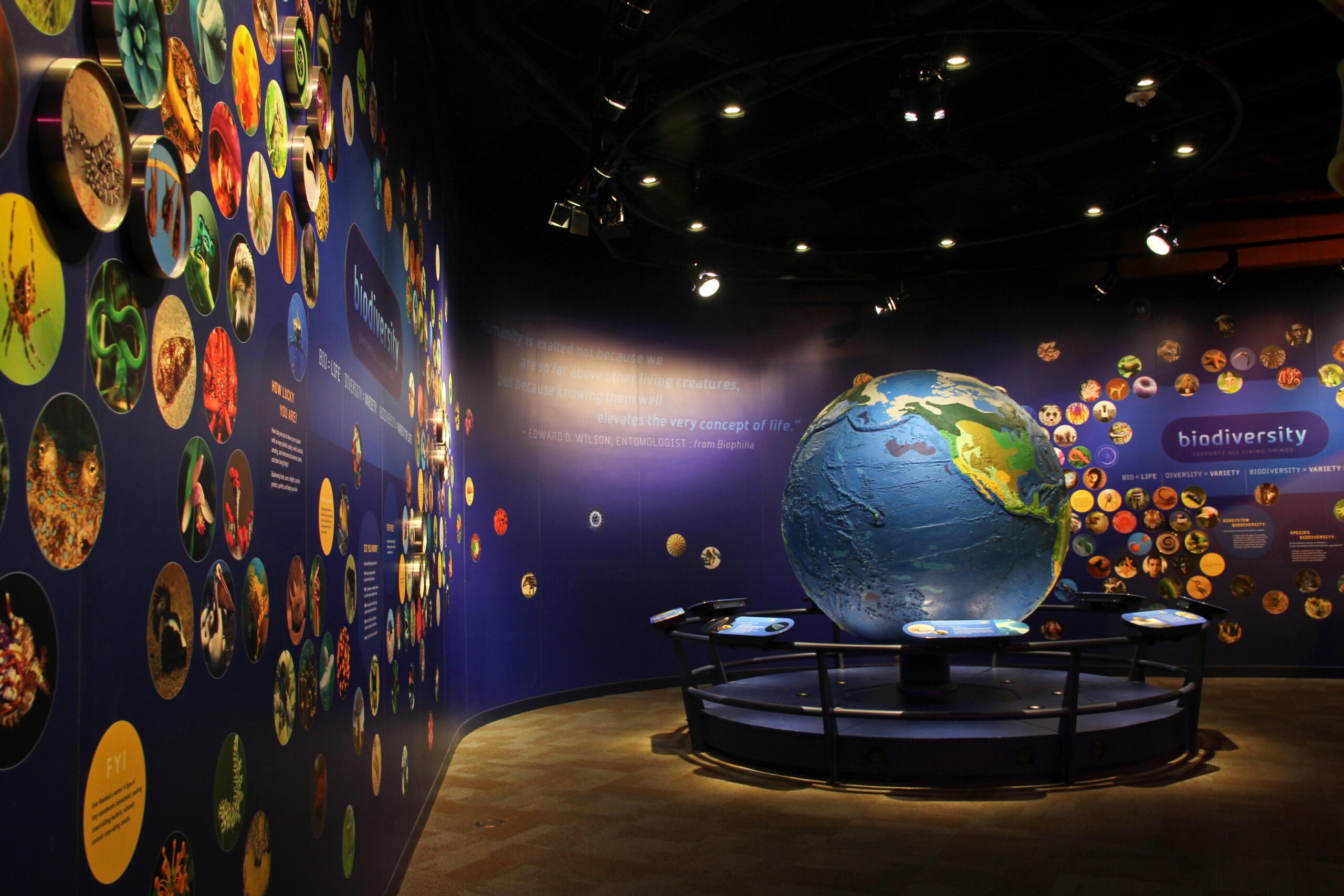 Press Discovery Place Museums